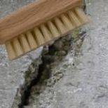 bassin de jardin fissure